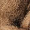 Manx Loaghtan top fawn - 100g